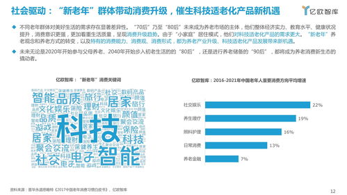 2021中国科技适老化产品研究报告 信息技术咨询服务的引领与赋能